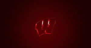 Caption: Wisconsin Badgers Football Team In Action Wallpaper