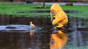 Caption: Woman In A Vibrant Yellow Raincoat Gazing At The Grey Sky Wallpaper