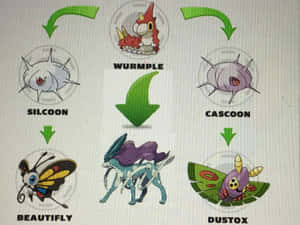 Caption: Wurmple Evolving Into Silcoon - A Fascinating Pokémon Transformation Wallpaper