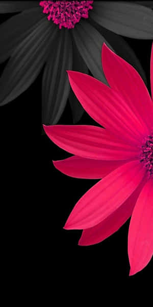 Captivating 3d Flower Wallpaper Wallpaper