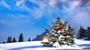 Captivating 4k Ultra Hd Christmas Tree In Snow Wallpaper