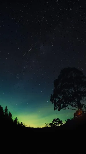 Captivating Ambience In Nature Wallpaper