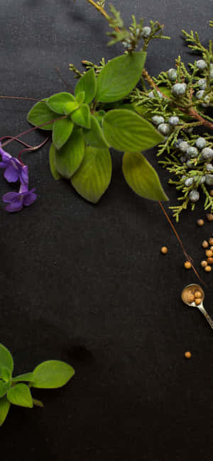 Captivating Aromatherapy: The Alluring Essence Of Essential Oils Wallpaper