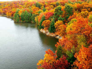 Captivating Autumn Scenery At The Lake Wallpaper