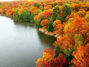 Captivating Autumn Scenery At The Lake Wallpaper
