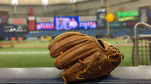 Captivating Baseball Gloves Collection Wallpaper