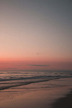 Captivating Beach Sunset Wallpaper