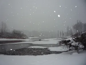 Captivating Beauty Of A Winter Wonderland Wallpaper