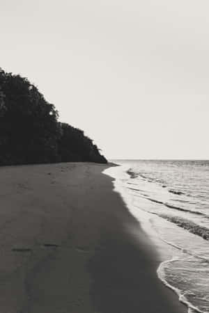 Captivating Black And White Beach Scene Wallpaper