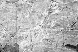 Captivating Black And White Texture Wallpaper