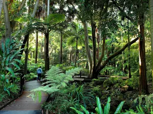 Captivating Botanical Garden Path Wallpaper