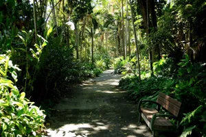 Captivating Botanical Garden Path Wallpaper