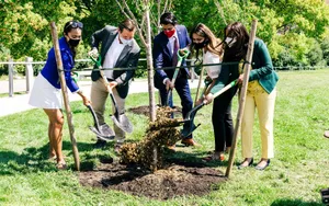 Captivating Brampton Downtown View Wallpaper