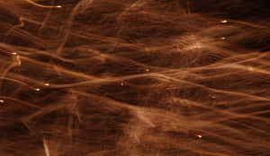 Captivating Brown Texture Wallpaper Wallpaper