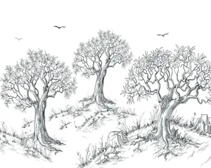 Captivating Charcoal Drawing Of A Mysterious Woman Wallpaper