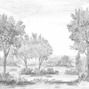 Captivating Charcoal Drawing Of A Woman Wallpaper