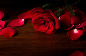 Captivating Close-up Of A Red Rose Petal Wallpaper