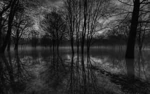 Captivating Dark Landscape Wallpaper