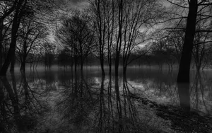 Captivating Dark Landscape Wallpaper