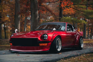 Captivating Datsun: Classic Car Beauty Shines Bright Wallpaper