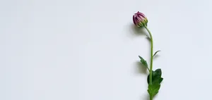 Captivating Earth From Space Wallpaper