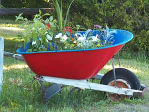 Captivating Flower Cart In Blossom Wallpaper