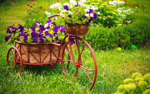 Captivating Flower Cart In Full Bloom Wallpaper