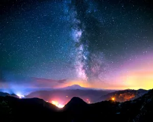 Captivating Forest Ambience Wallpaper