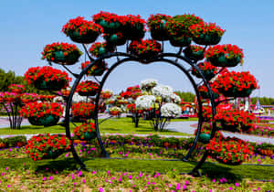 Captivating Garden Design With Beautiful Flowers And Landscape Wallpaper