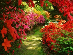 Captivating Garden Paradise Wallpaper