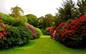 Captivating Garden Path Wallpaper