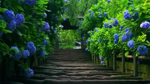 Captivating Garden Pathway Wallpaper