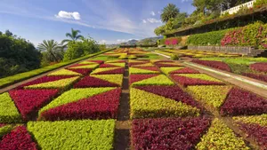 Captivating Garden Pathway Wallpaper