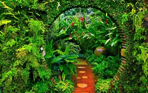 Captivating Garden Pathway Wallpaper