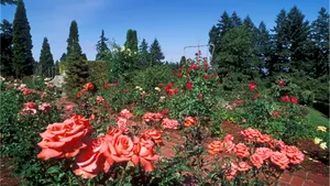 Captivating Garden Pathway Wallpaper