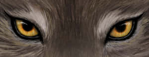 Captivating Gaze Of A Wolf Wallpaper