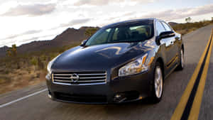 Captivating Grandeur Of Nissan Maxima Wallpaper