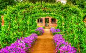 Captivating Green Garden Design Wallpaper