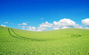 Captivating Green Landscape Wallpaper