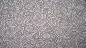 Captivating Grey Paisley Pattern Wallpaper
