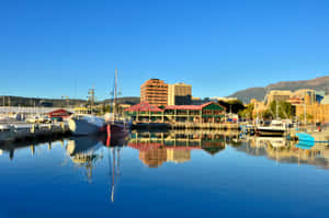 Captivating Hobart City Skyline At Dusk Wallpaper