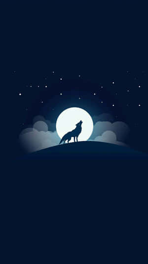 Captivating Lone Wolf Staring Defiantly Wallpaper