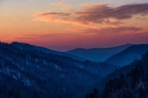 Captivating Morning Mist Over Great Smoky Mountains National Park Wallpaper