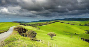 Captivating New Zealand Landscape Wallpaper