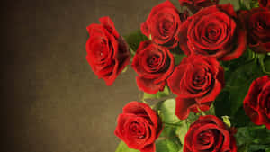 Captivating Red Rose Bouquet Wallpaper