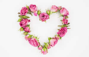 Captivating Rose Heart Wallpaper