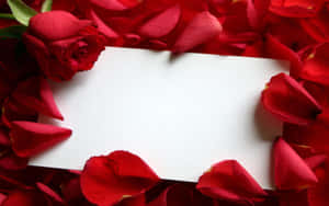 Captivating Rose Petal Close-up Wallpaper