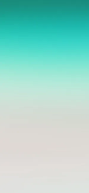 Captivating Sight Of Sunlight Through A Translucent Leaf Wallpaper