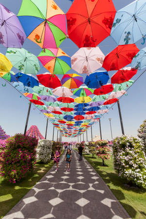 Captivating Snapshot Of Dubai's Miracle Garden Wallpaper