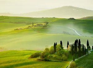 Captivating Spring Landscape Wallpaper